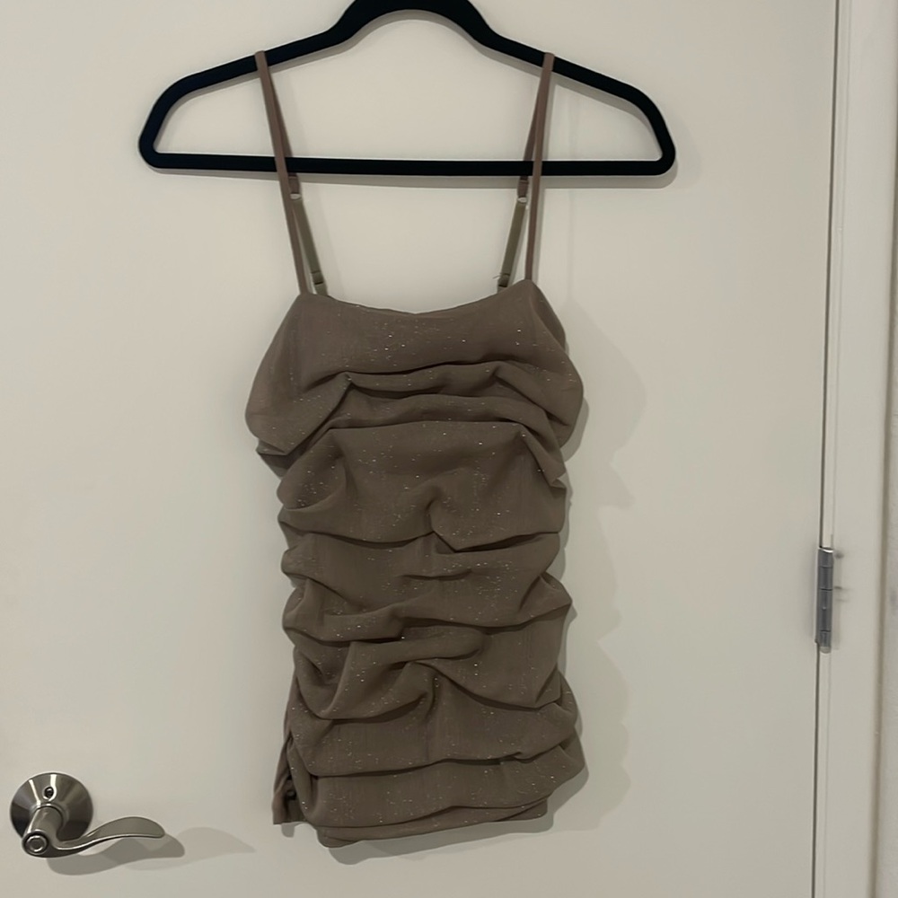 Shimmery Express top